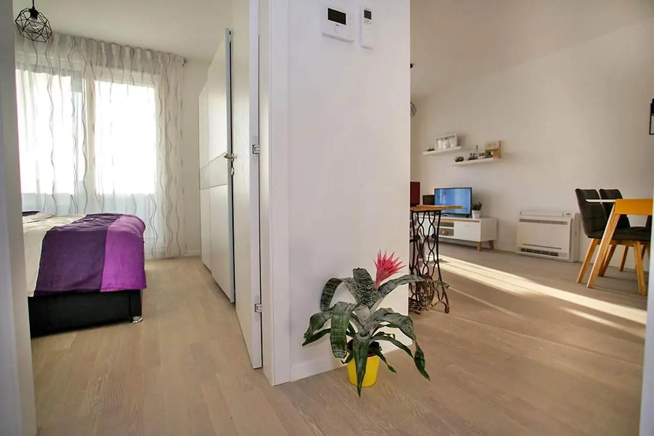 Apartment Sweet Daisy With Parking Zadar